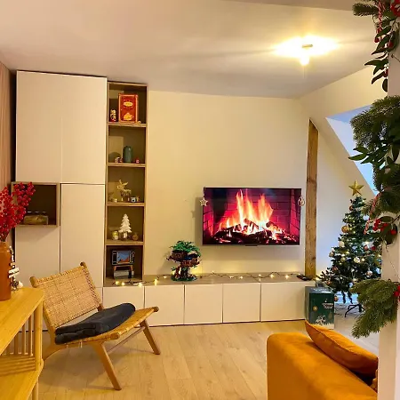 A 2 Pas Du Marche De Noel Apartman *